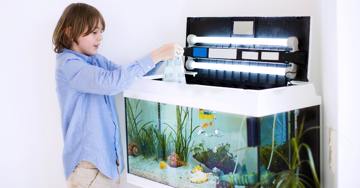 Fish Tank