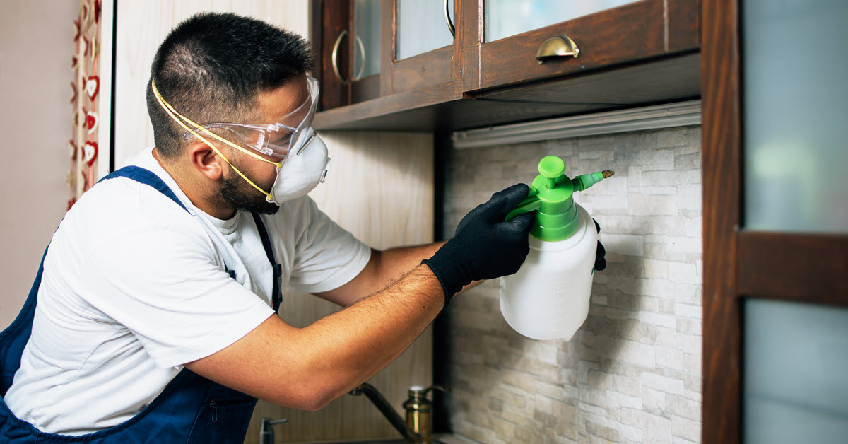 House Pest Control