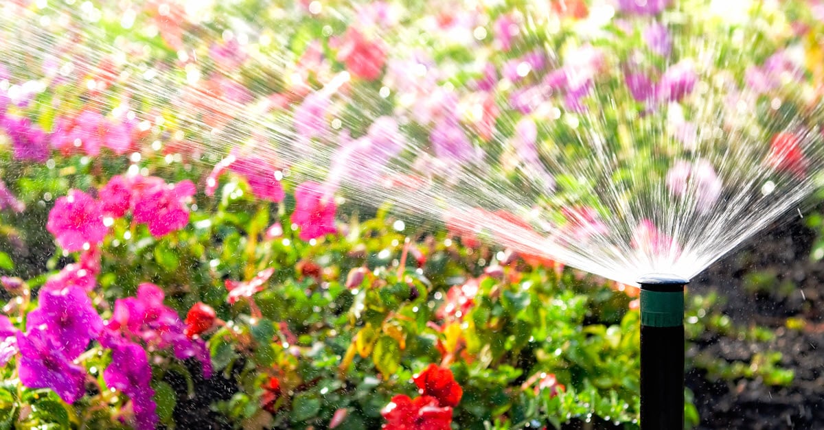 Water-saving Tips